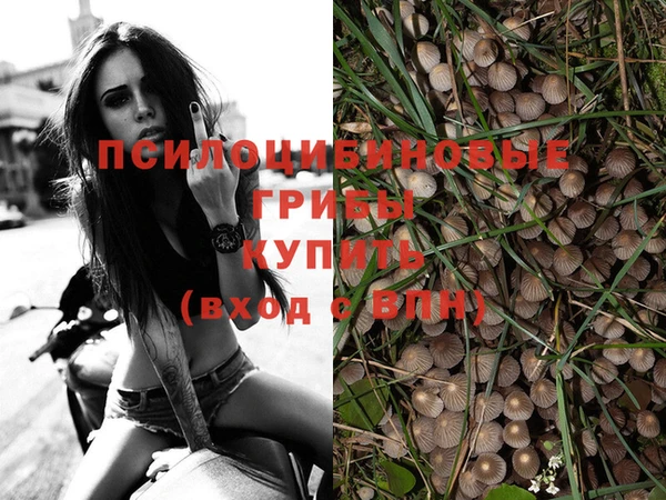 PSILOCYBIN Алексин