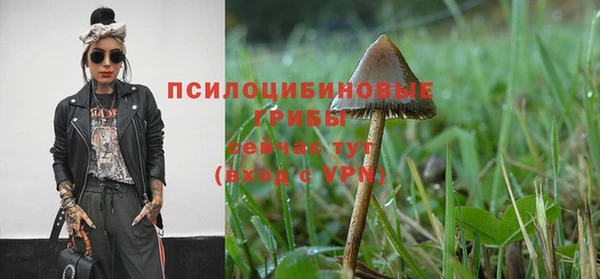 тгк Алзамай