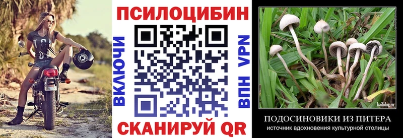 Галлюциногенные грибы мицелий  Лукоянов 